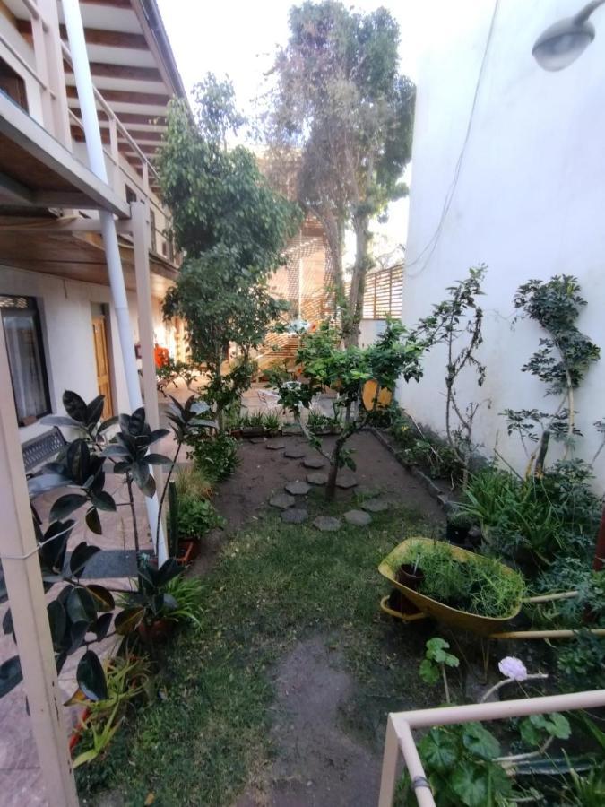 Amaru Hotel Copiapo Ngoại thất bức ảnh